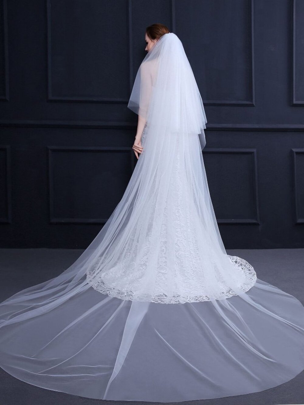 Minimalist 3M Cathedral Bridal Veil Simple Tulle Veil with Blusher